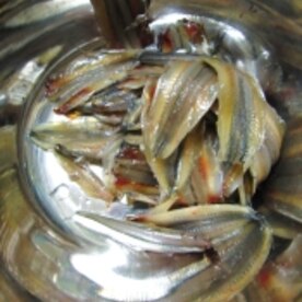 簡単で美味しい ごまきびなご レシピ 作り方 By ひーじゃーまん 楽天レシピ 簡単で美味しい ごまきびなご レシピ 作り方 By ひーじゃーまん 楽天レシピ